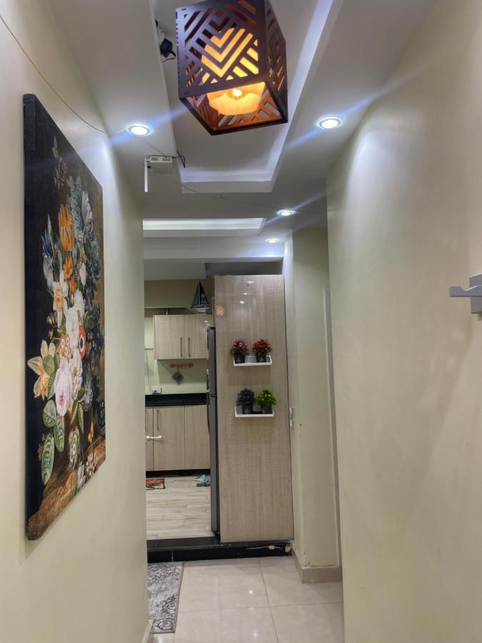 Apartment شقه رائعه في بالقرب من المتحف الجديد والاهرامات